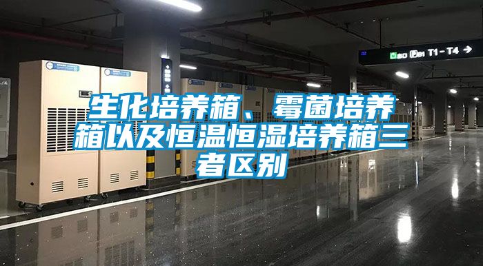 生化培養(yǎng)箱、霉菌培養(yǎng)箱以及恒溫恒濕培養(yǎng)箱三者區(qū)別