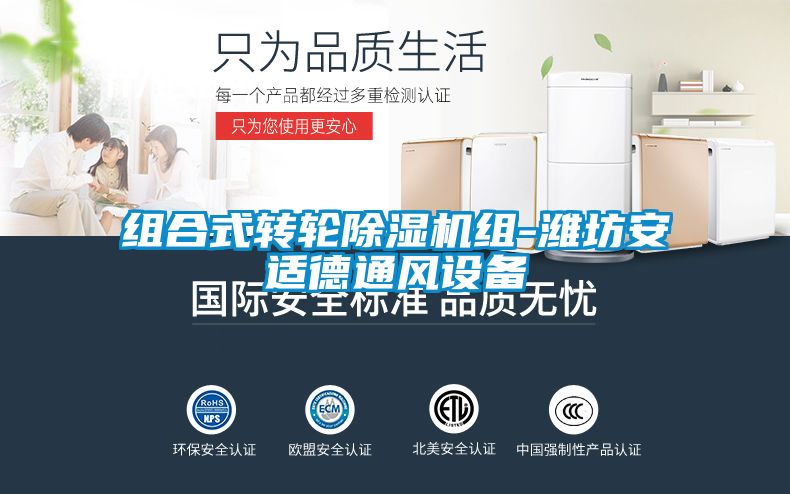 組合式轉輪除濕機組-濰坊安適德通風設備