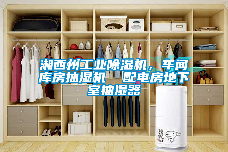 湘西州工業(yè)除濕機(jī)，車間庫(kù)房抽濕機(jī)  配電房地下室抽濕器