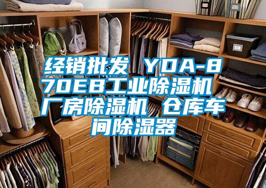 經(jīng)銷批發(fā) YDA-870EB工業(yè)除濕機(jī) 廠房除濕機(jī) 倉(cāng)庫(kù)車間除濕器