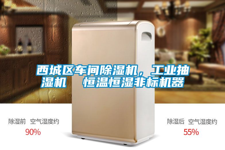 西城區(qū)車間除濕機，工業(yè)抽濕機  恒溫恒濕非標(biāo)機器