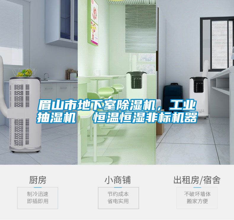 眉山市地下室除濕機(jī)，工業(yè)抽濕機(jī)  恒溫恒濕非標(biāo)機(jī)器