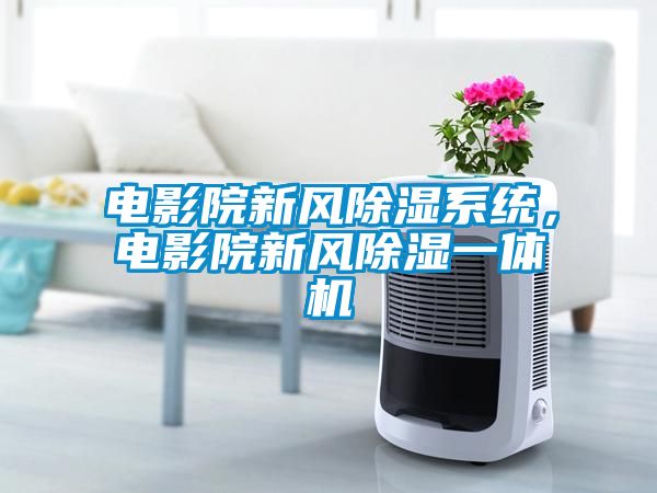 電影院新風(fēng)除濕系統(tǒng)，電影院新風(fēng)除濕一體機(jī)