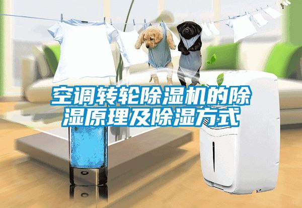 空調(diào)轉(zhuǎn)輪除濕機的除濕原理及除濕方式