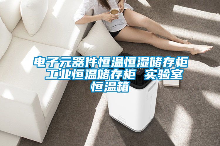 電子元器件恒溫恒濕儲存柜 工業(yè)恒溫儲存柜 實(shí)驗(yàn)室恒溫箱