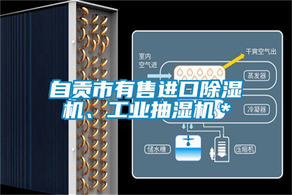 自貢市有售進口除濕機、工業(yè)抽濕機＊