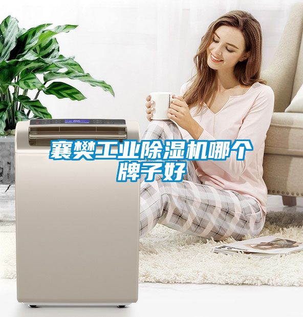 襄樊工業(yè)除濕機哪個牌子好