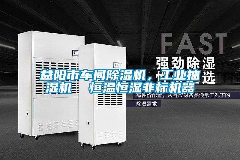 益陽(yáng)市車(chē)間除濕機(jī)，工業(yè)抽濕機(jī)  恒溫恒濕非標(biāo)機(jī)器