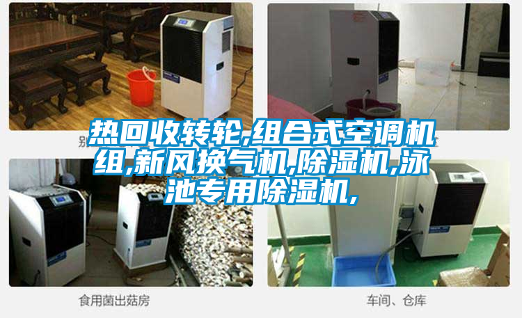 熱回收轉(zhuǎn)輪,組合式空調(diào)機組,新風(fēng)換氣機,除濕機,泳池專用除濕機,