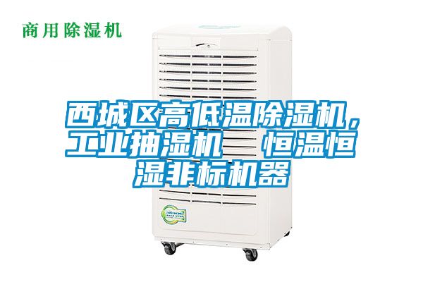 西城區(qū)高低溫除濕機，工業(yè)抽濕機  恒溫恒濕非標(biāo)機器