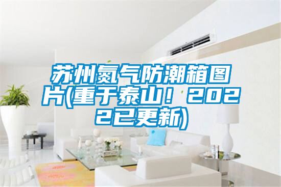 蘇州氮?dú)夥莱毕鋱D片(重于泰山！2022已更新)