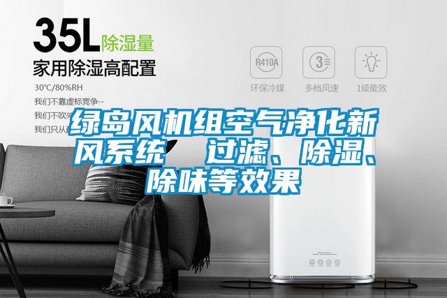 綠島風機組空氣凈化新風系統(tǒng)  過濾、除濕、除味等效果