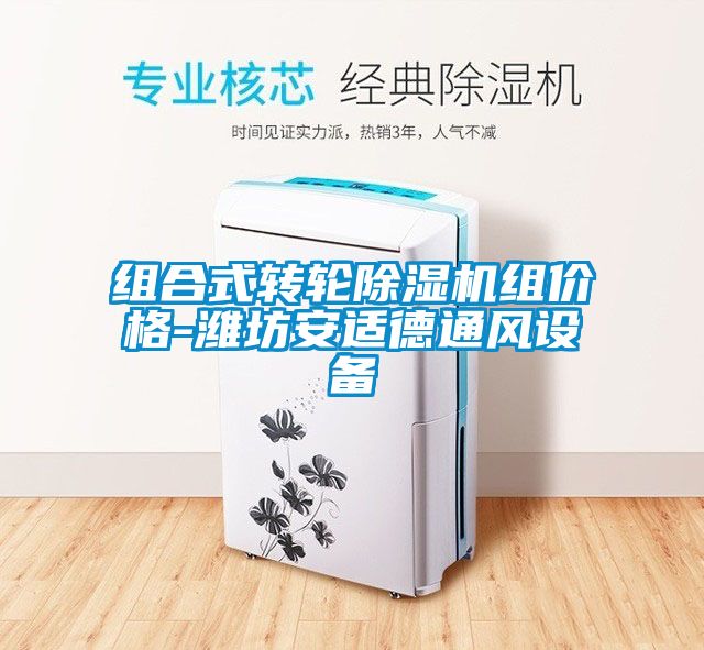 組合式轉輪除濕機組價格-濰坊安適德通風設備