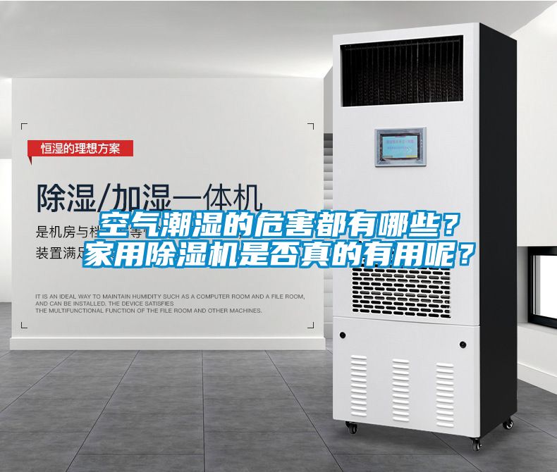 空氣潮濕的危害都有哪些？家用除濕機是否真的有用呢？