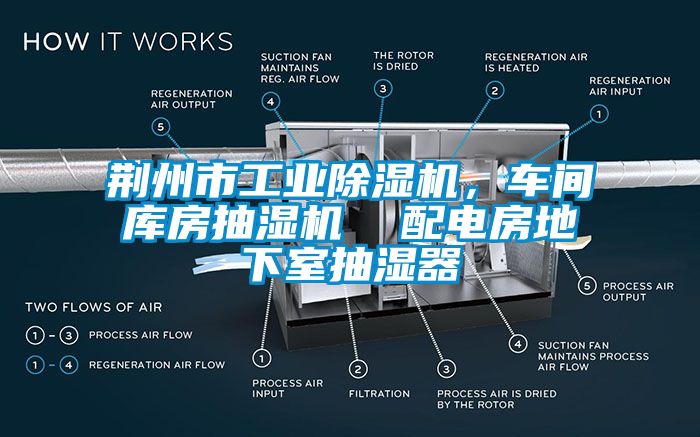 荊州市工業(yè)除濕機，車間庫房抽濕機  配電房地下室抽濕器