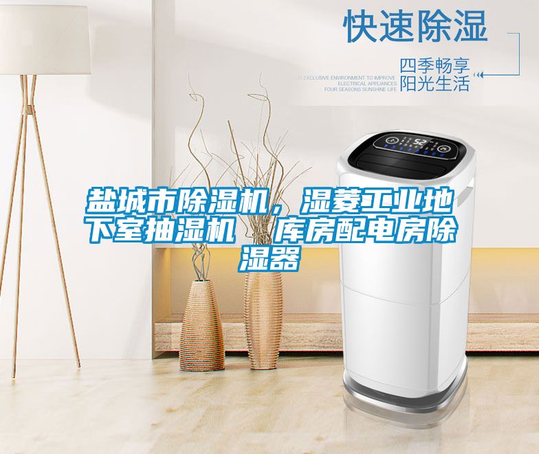 鹽城市除濕機(jī)，濕菱工業(yè)地下室抽濕機(jī)  庫(kù)房配電房除濕器