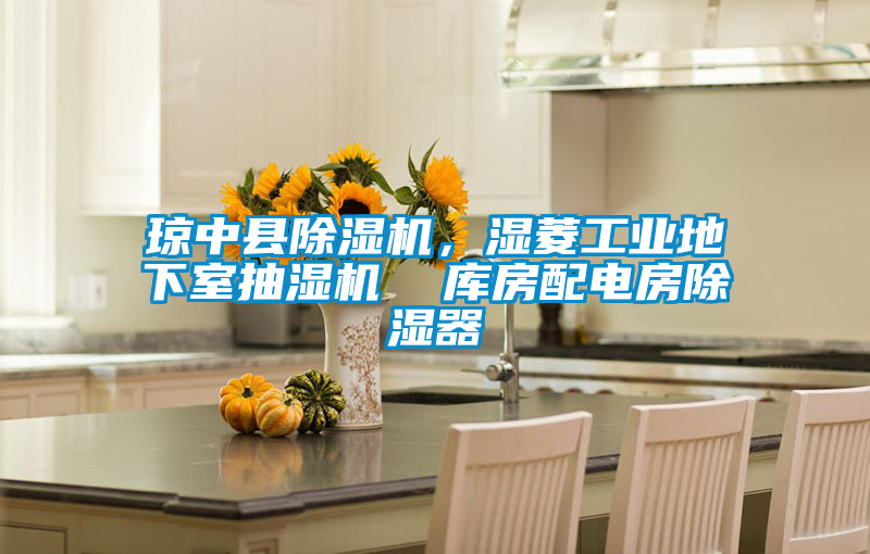 瓊中縣除濕機(jī)，濕菱工業(yè)地下室抽濕機(jī)  庫(kù)房配電房除濕器
