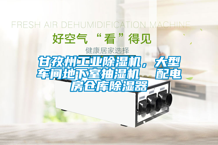 甘孜州工業(yè)除濕機，大型車間地下室抽濕機  配電房倉庫除濕器