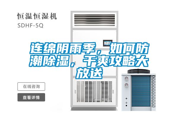 連綿陰雨季，如何防潮除濕，干爽攻略大放送