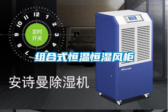 組合式恒溫恒濕風(fēng)柜