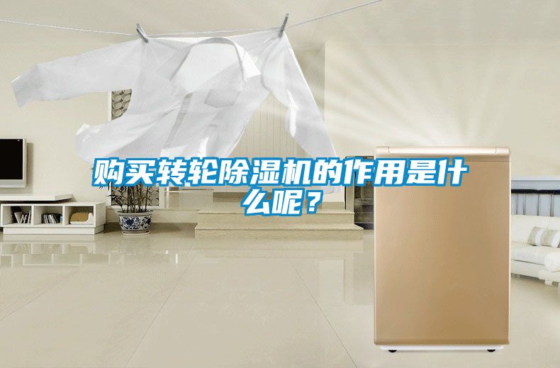 購買轉(zhuǎn)輪除濕機的作用是什么呢？