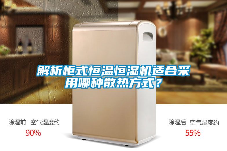 解析柜式恒溫恒濕機(jī)適合采用哪種散熱方式？