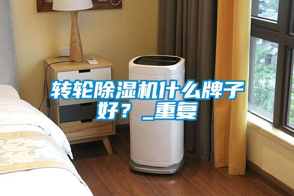 轉(zhuǎn)輪除濕機(jī)什么牌子好？_重復(fù)