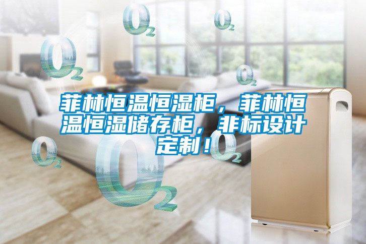 菲林恒溫恒濕柜，菲林恒溫恒濕儲存柜，非標設計定制！