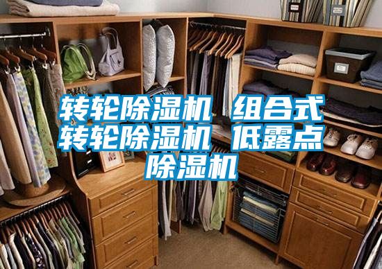 轉(zhuǎn)輪除濕機(jī) 組合式轉(zhuǎn)輪除濕機(jī) 低露點除濕機(jī)