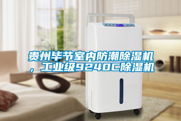 貴州畢節(jié)室內(nèi)防潮除濕機，工業(yè)級9240C除濕機