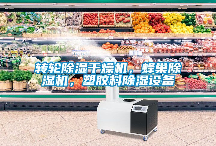 轉(zhuǎn)輪除濕干燥機(jī)，蜂巢除濕機(jī)，塑膠料除濕設(shè)備