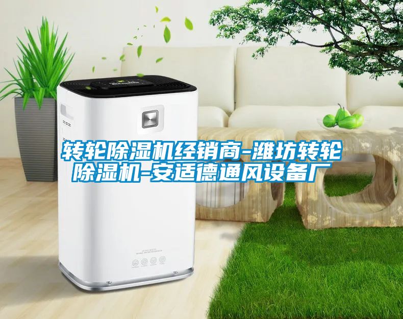轉(zhuǎn)輪除濕機經(jīng)銷商-濰坊轉(zhuǎn)輪除濕機-安適德通風設(shè)備廠