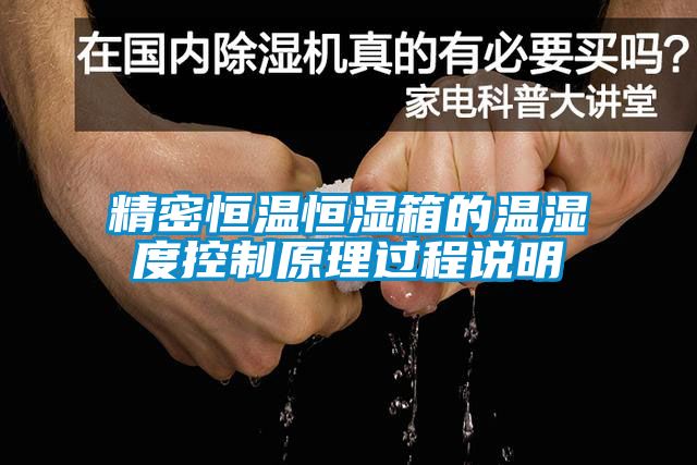 精密恒溫恒濕箱的溫濕度控制原理過(guò)程說(shuō)明
