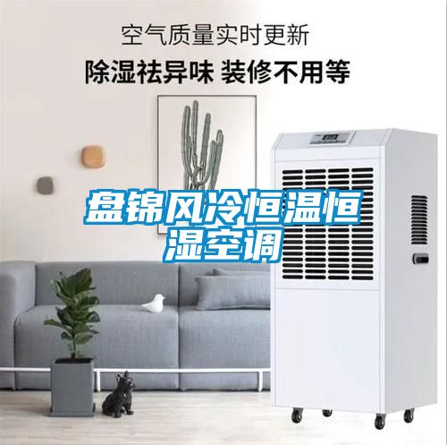盤錦風冷恒溫恒濕空調(diào)