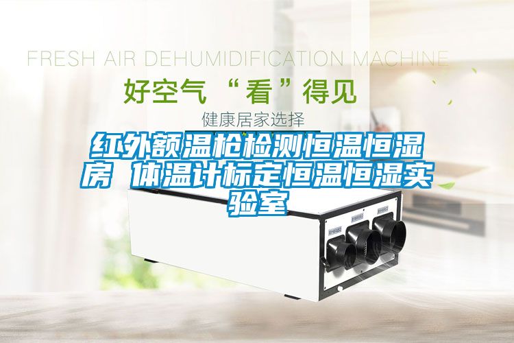 紅外額溫槍檢測(cè)恒溫恒濕房 體溫計(jì)標(biāo)定恒溫恒濕實(shí)驗(yàn)室
