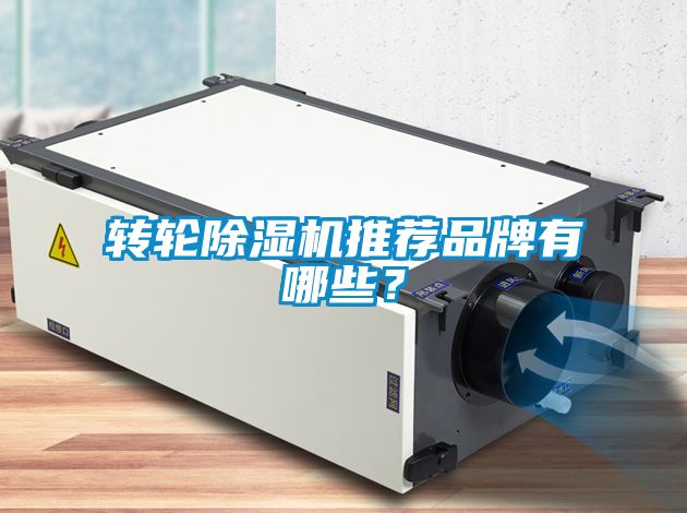 轉(zhuǎn)輪除濕機推薦品牌有哪些？