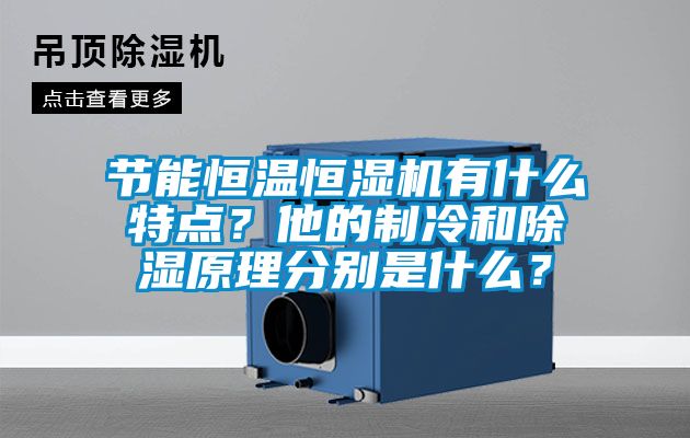 節(jié)能恒溫恒濕機(jī)有什么特點(diǎn)？他的制冷和除濕原理分別是什么？