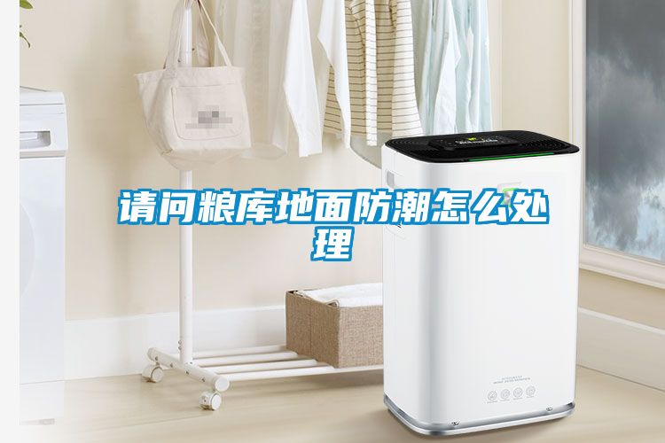 請(qǐng)問(wèn)糧庫(kù)地面防潮怎么處理