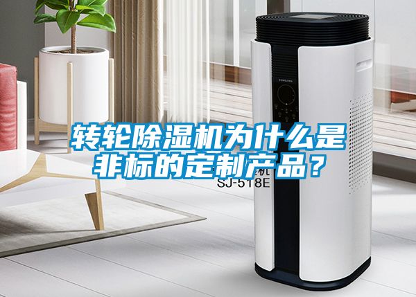 轉輪除濕機為什么是非標的定制產品？