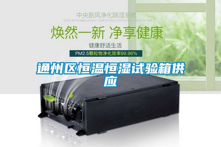 通州區(qū)恒溫恒濕試驗箱供應