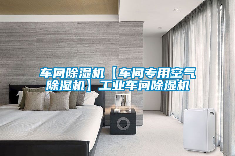 車(chē)間除濕機(jī)【車(chē)間專(zhuān)用空氣除濕機(jī)】工業(yè)車(chē)間除濕機(jī)