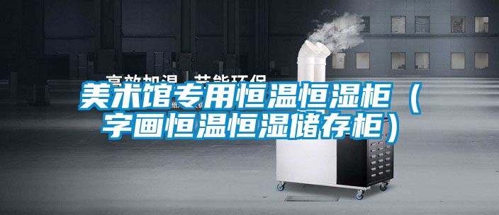 美術(shù)館專用恒溫恒濕柜（字畫恒溫恒濕儲存柜）