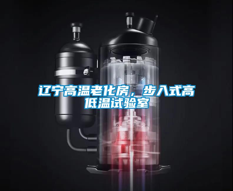 遼寧高溫老化房，步入式高低溫試驗室