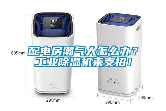 配電房潮氣大怎么辦？工業(yè)除濕機來支招！