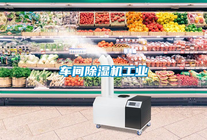車(chē)間除濕機(jī)工業(yè)