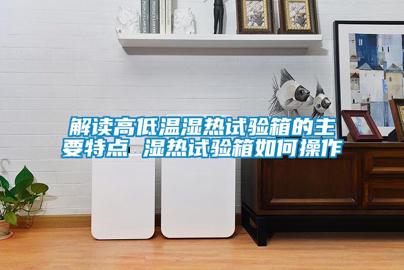 解讀高低溫濕熱試驗(yàn)箱的主要特點(diǎn) 濕熱試驗(yàn)箱如何操作