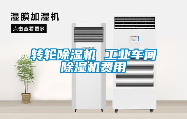 轉(zhuǎn)輪除濕機(jī) 工業(yè)車間除濕機(jī)費用
