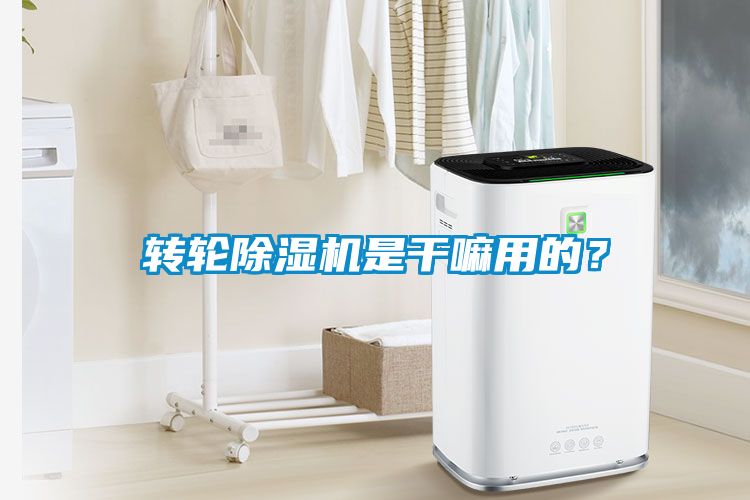 轉(zhuǎn)輪除濕機是干嘛用的？