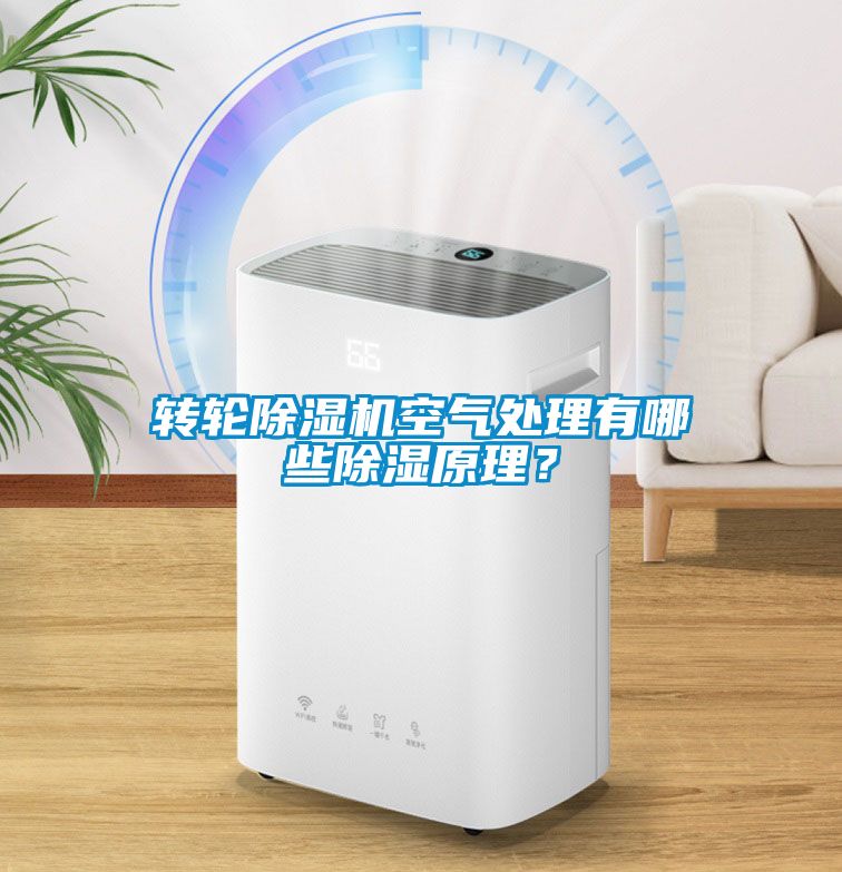 轉(zhuǎn)輪除濕機(jī)空氣處理有哪些除濕原理？