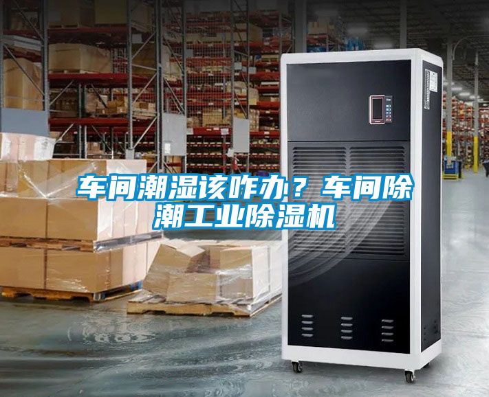 車間潮濕該咋辦？車間除潮工業(yè)除濕機(jī)
